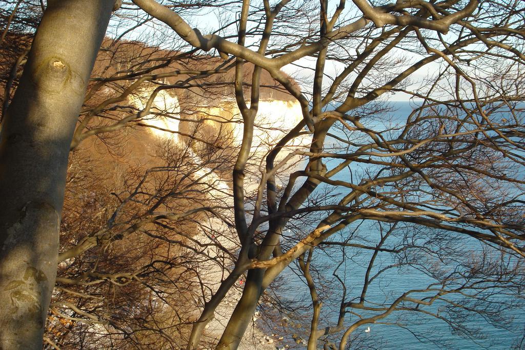 Ferienwohnung In Sassnitz Ruegen Naehe Weltnaturerbe Kreidekueste Екстериор снимка