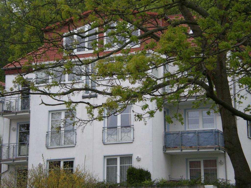 Ferienwohnung In Sassnitz Ruegen Naehe Weltnaturerbe Kreidekueste Екстериор снимка
