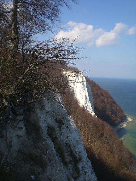 Ferienwohnung In Sassnitz Ruegen Naehe Weltnaturerbe Kreidekueste Екстериор снимка