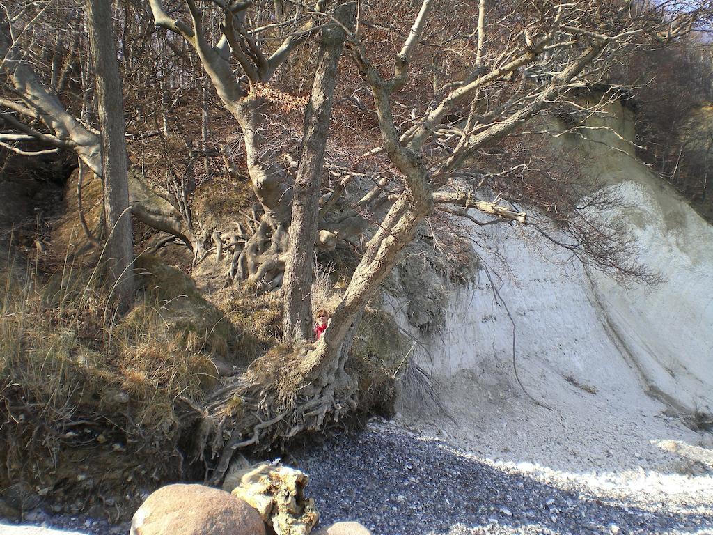 Ferienwohnung In Sassnitz Ruegen Naehe Weltnaturerbe Kreidekueste Екстериор снимка