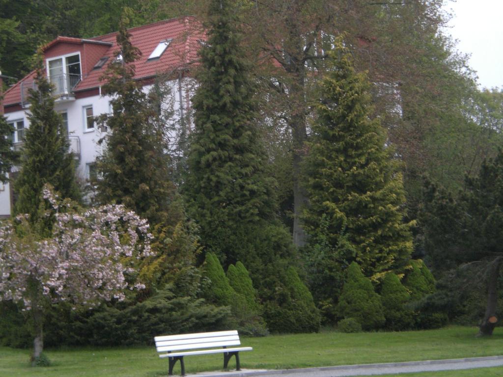 Ferienwohnung In Sassnitz Ruegen Naehe Weltnaturerbe Kreidekueste Екстериор снимка